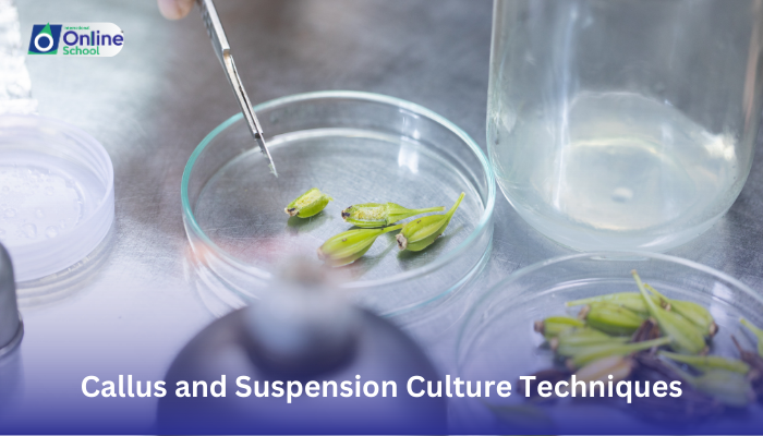Lesson 20: Differentiating Callus and Suspension Culture Techniques